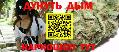амф Гай
