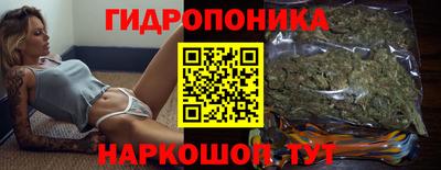 амф Гай